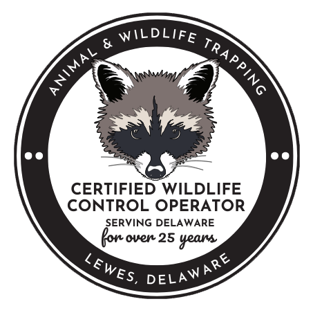 Animal & Wildlife Trapping logo